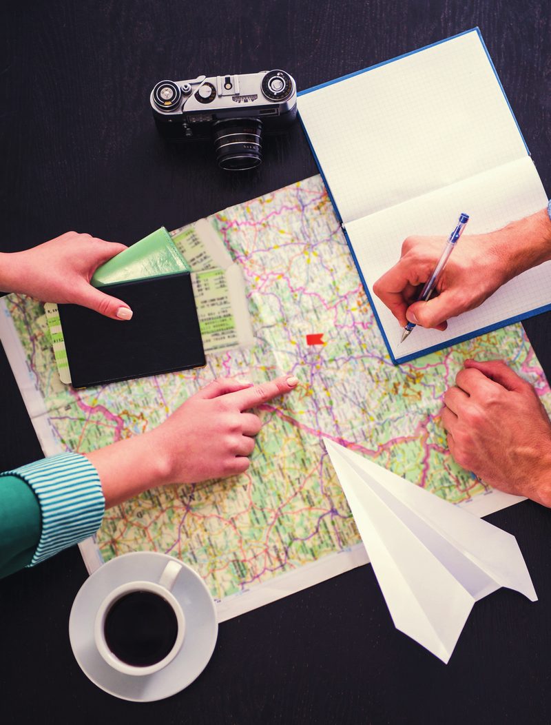 Travel Professional