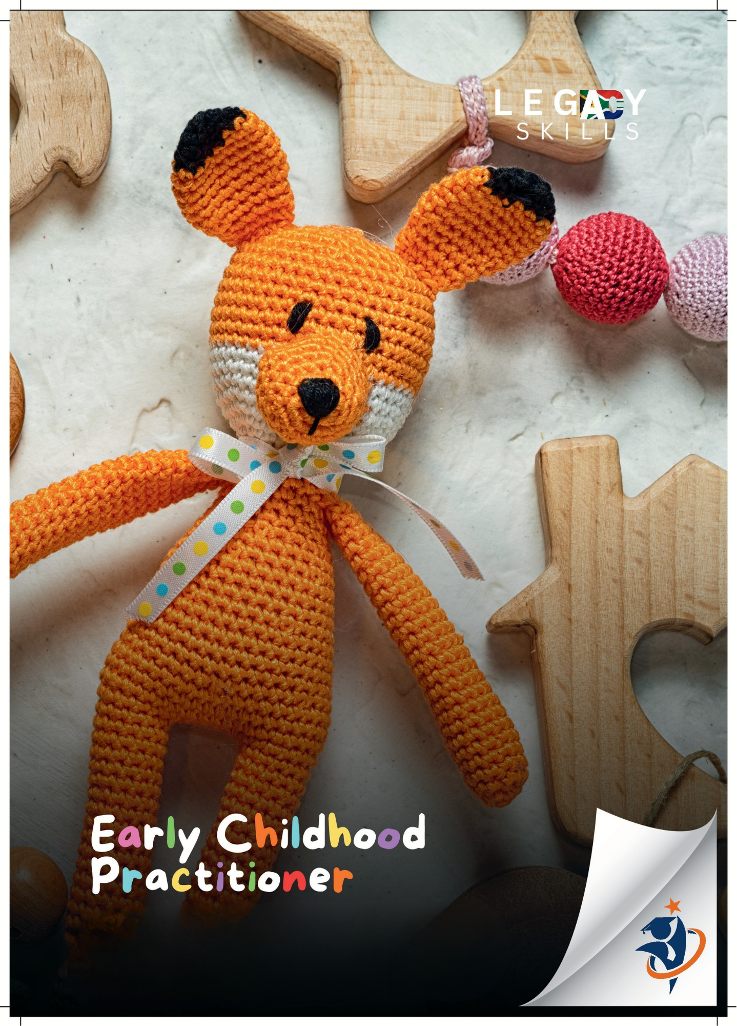 Early Childhood Practitioner